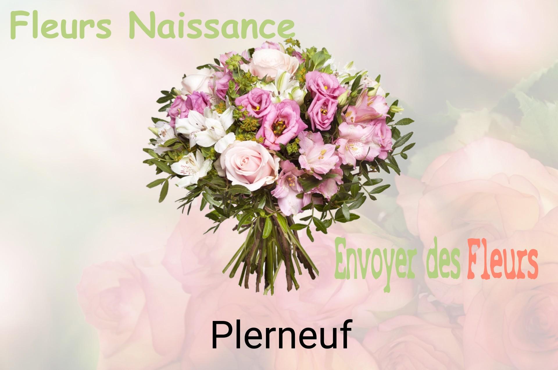 Bouquet de fleurs de naissance livré à Plerneuf