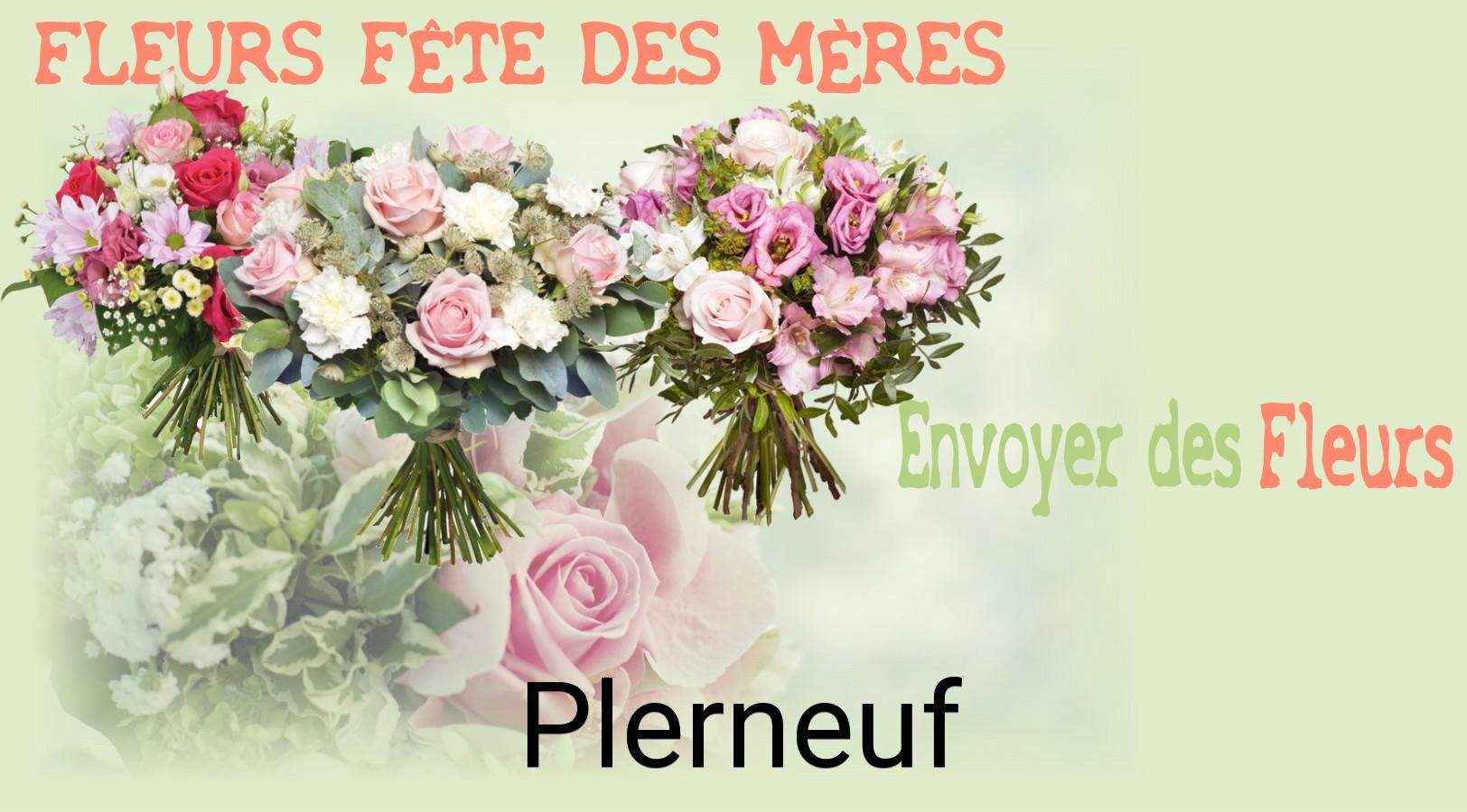 Bouquet de Fête des Mères livré à Plerneuf
